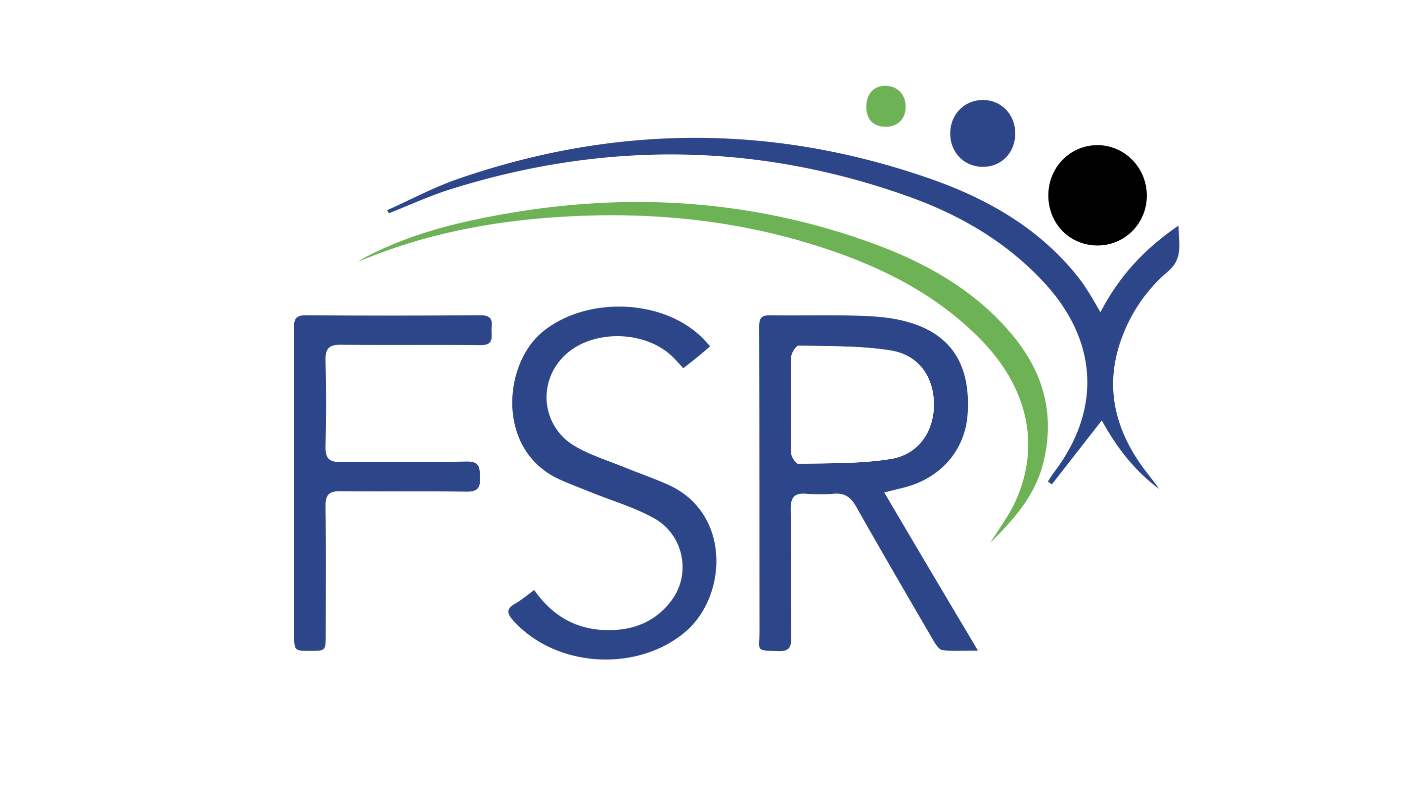 Federal Staffing Resources Company Logo