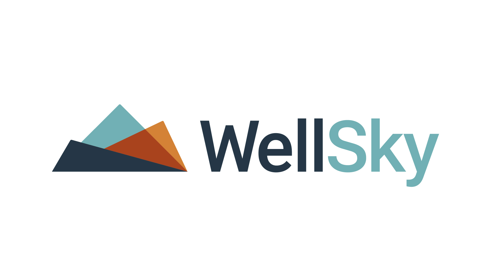 WellSky logo