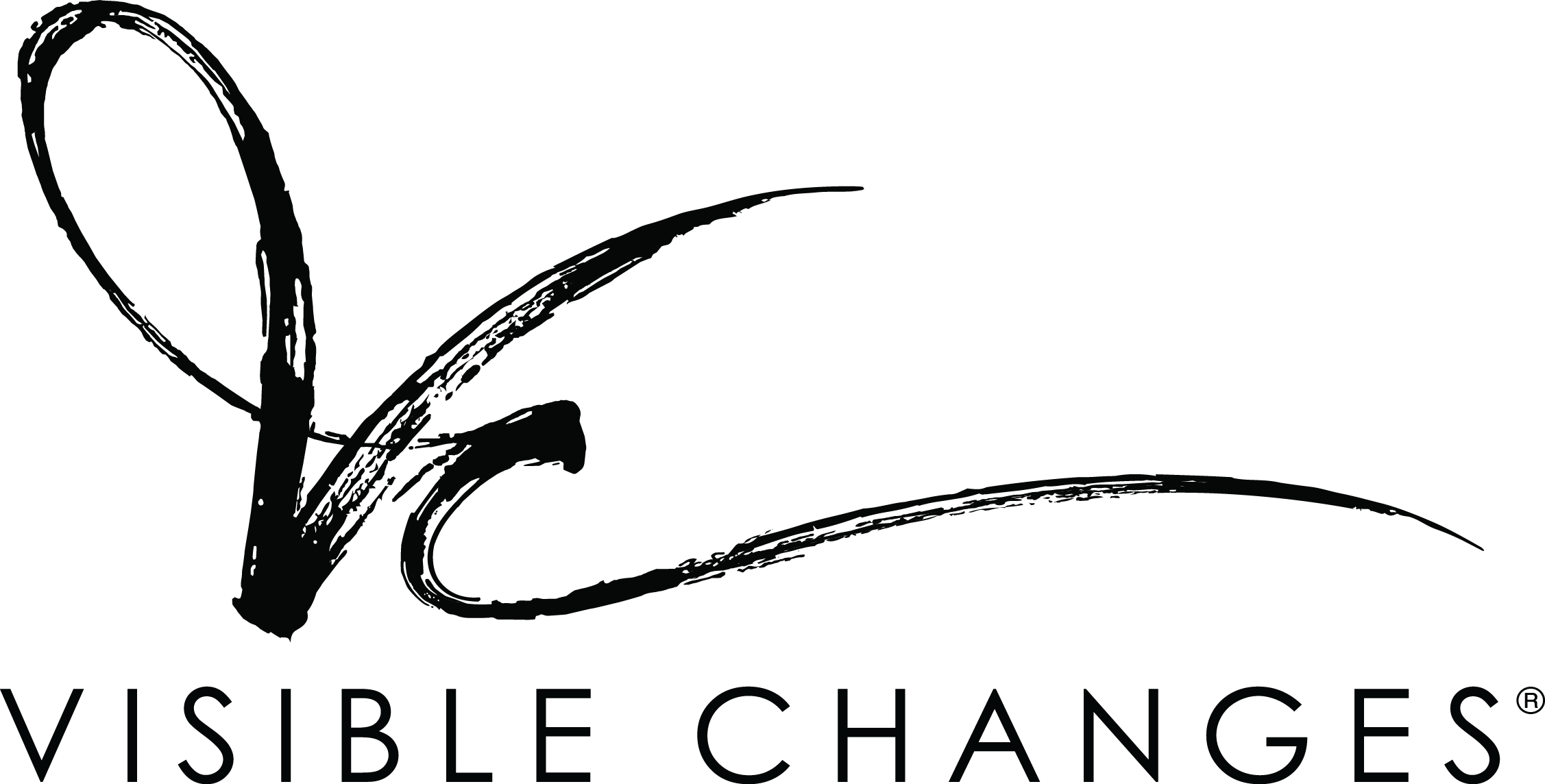 Visible Changes logo