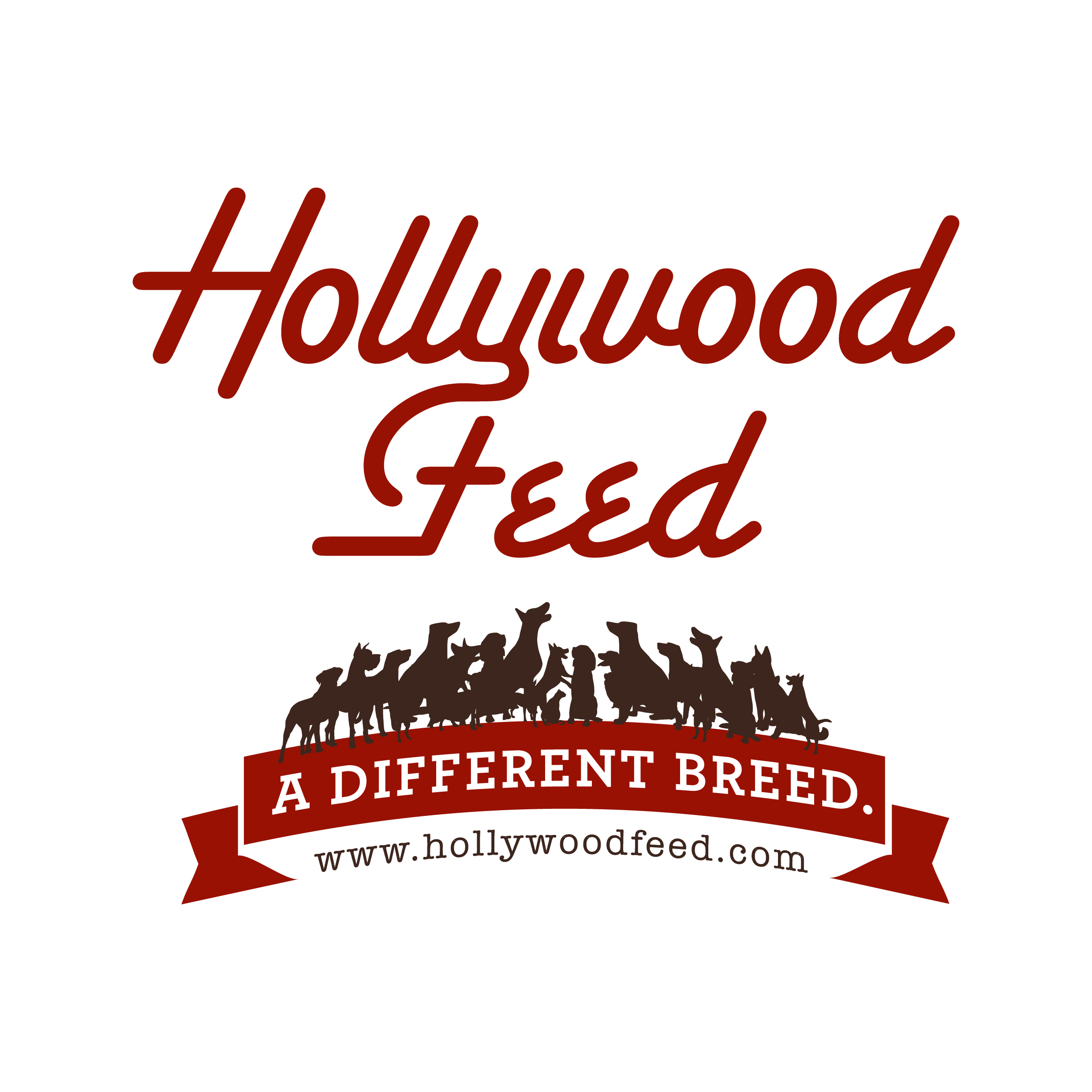 Hollywood Feed Company Logo