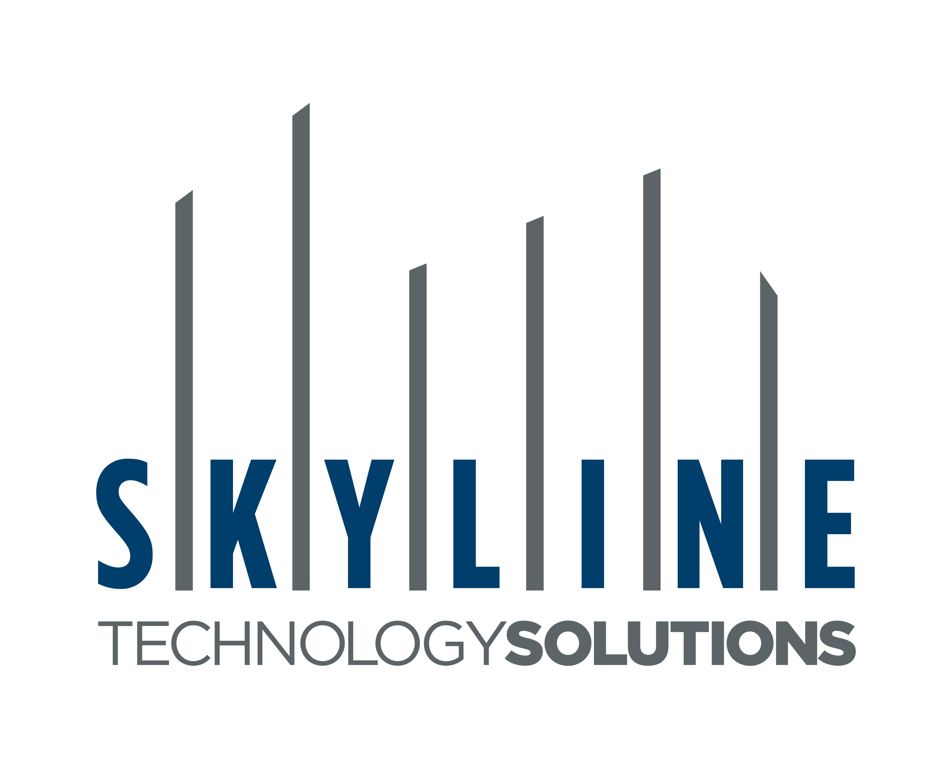 Skyline Technology Solutions, LLC logo