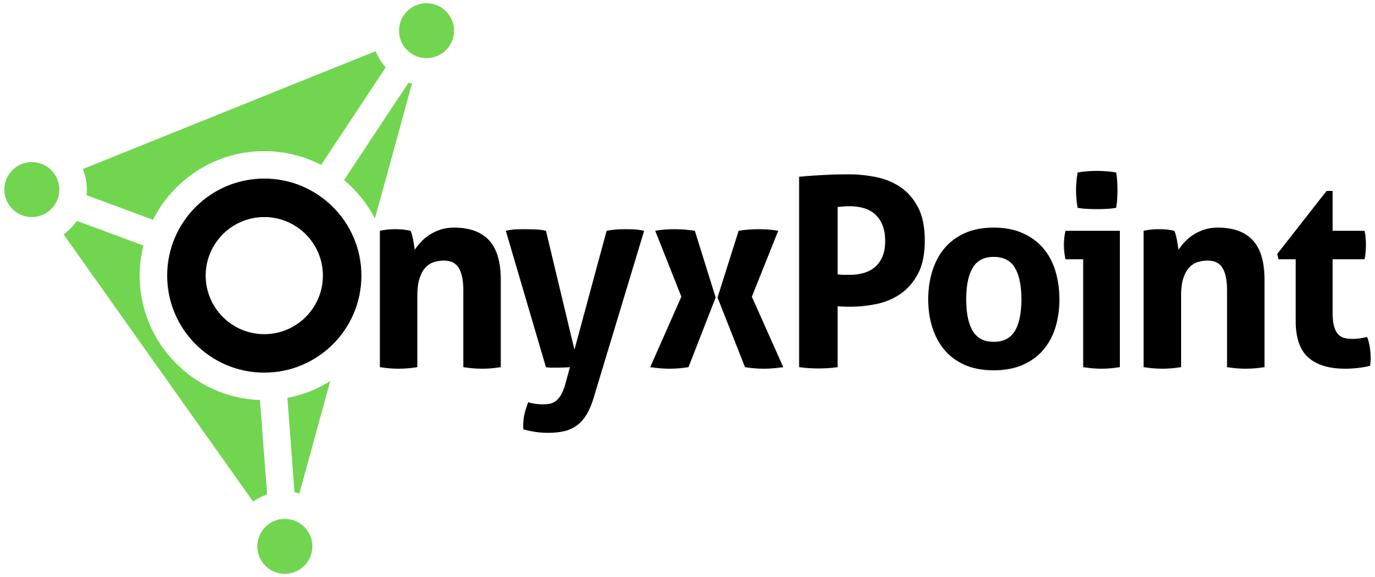 Onyx Point, LLC. Company Logo