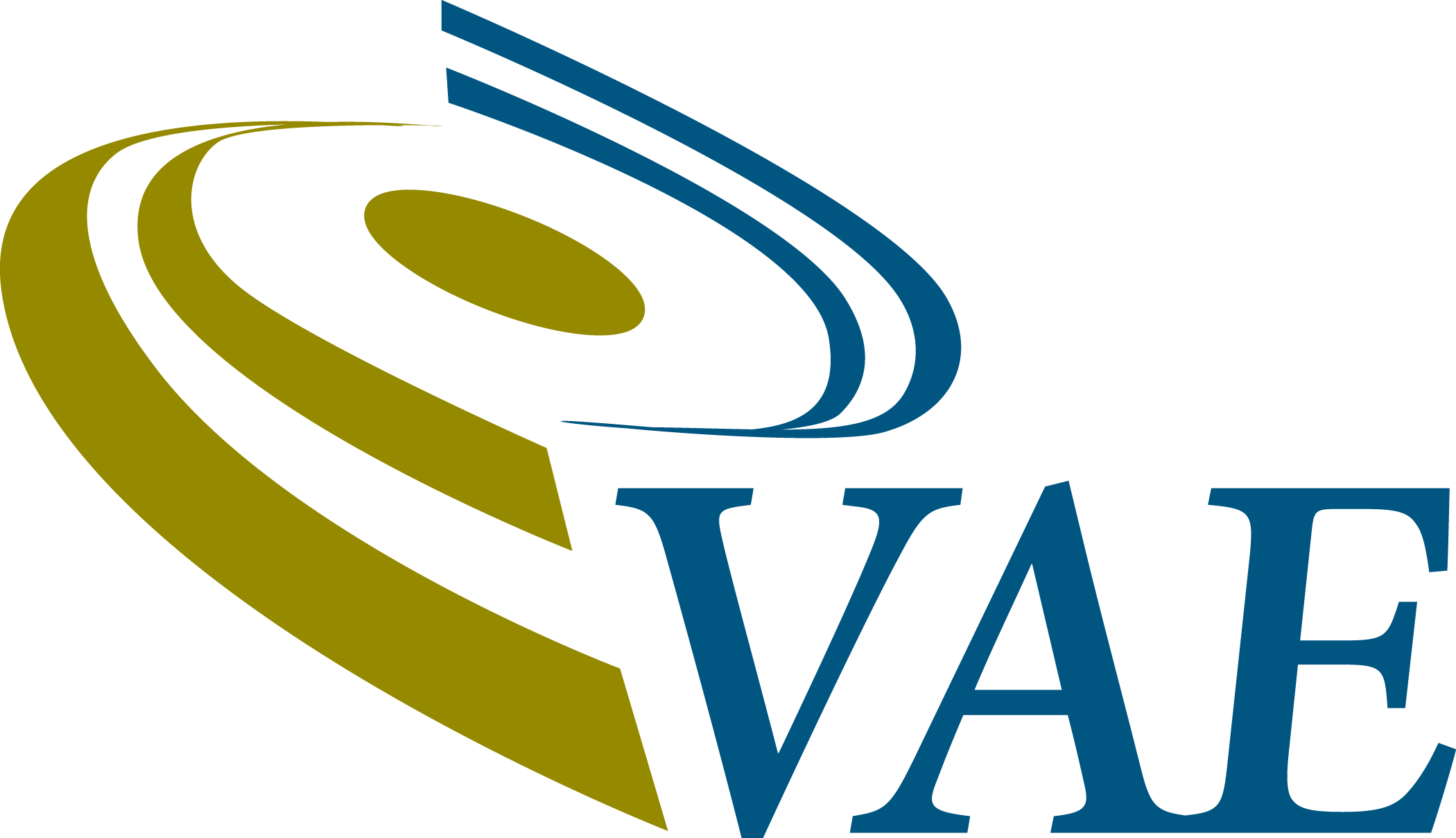 VAE, Inc. logo