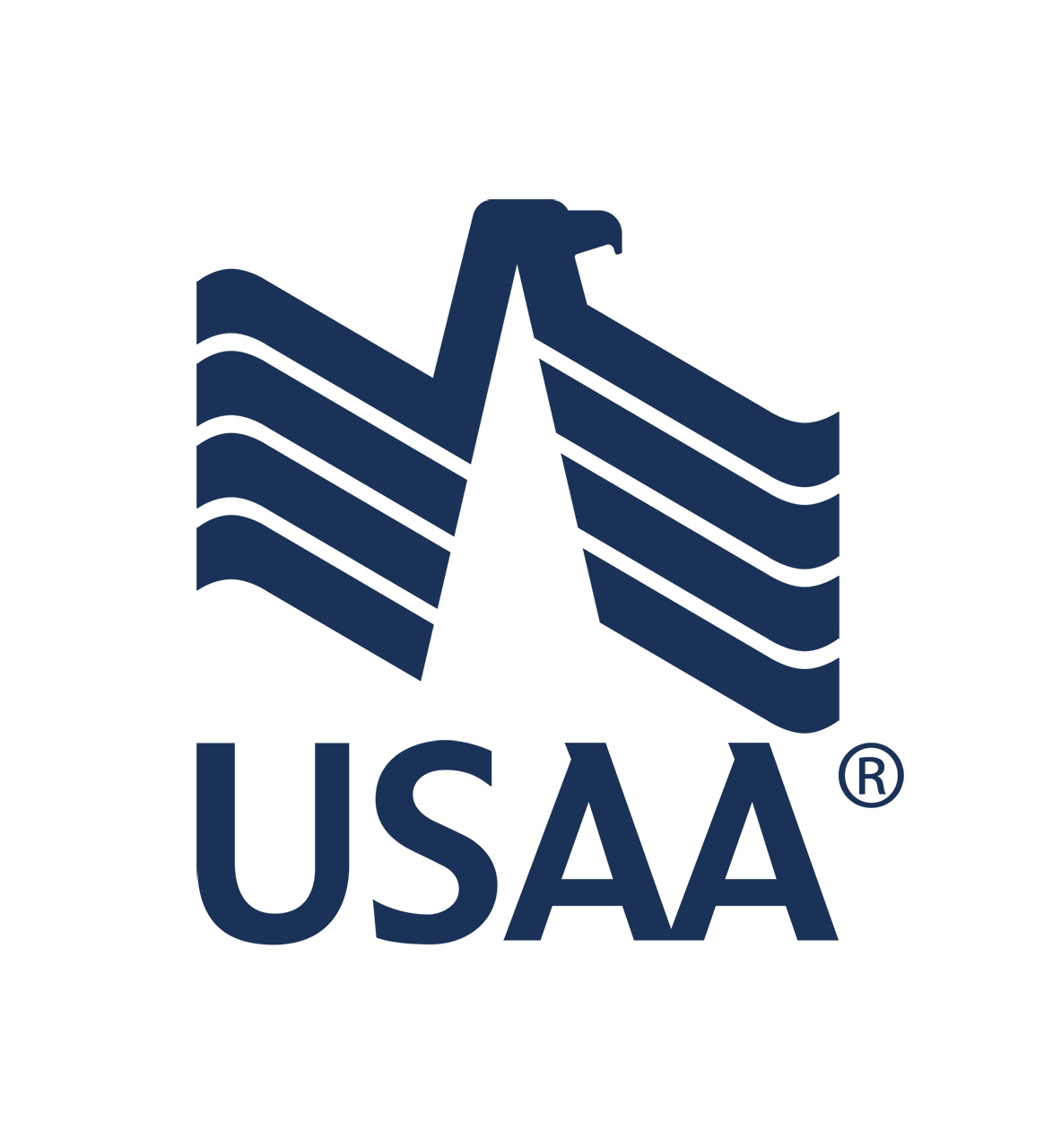 USAA Company Logo