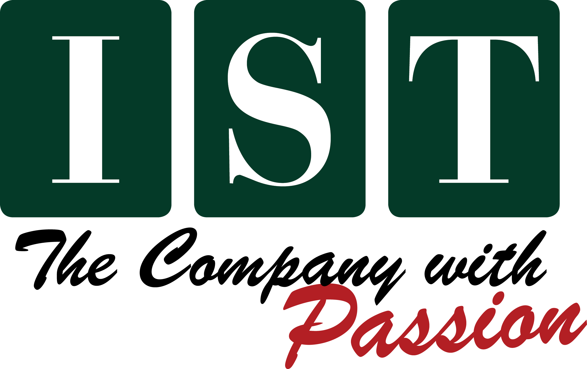 IST Management Services, Inc. logo