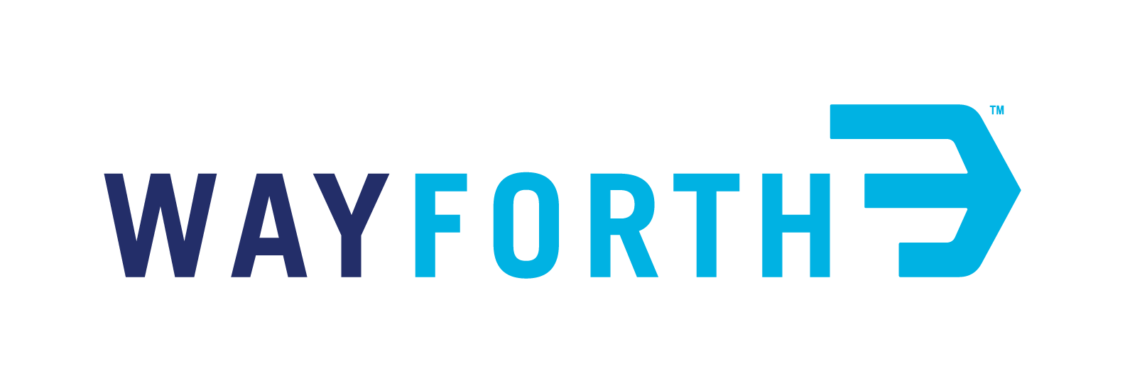 WayForth LLC logo