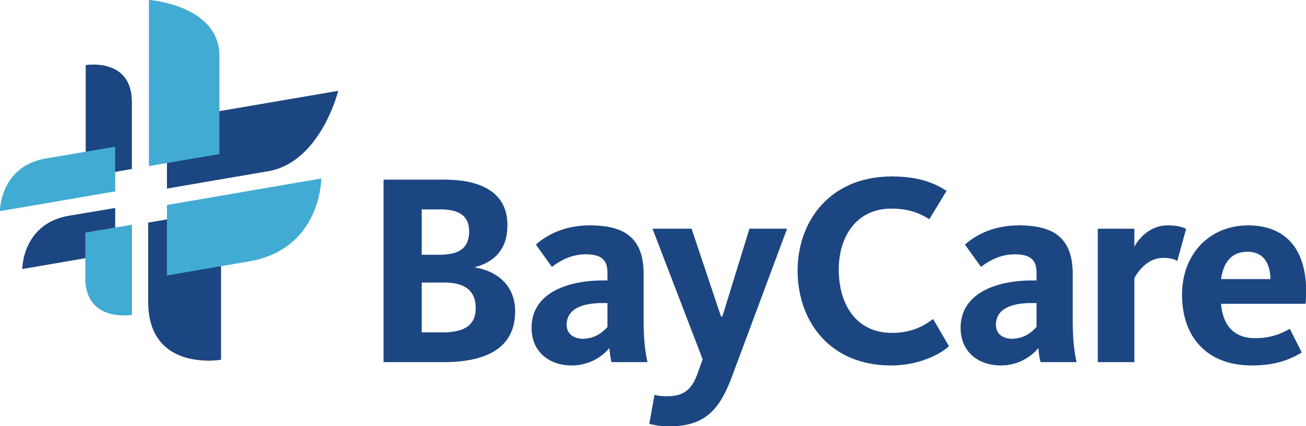 BayCare Health System logo