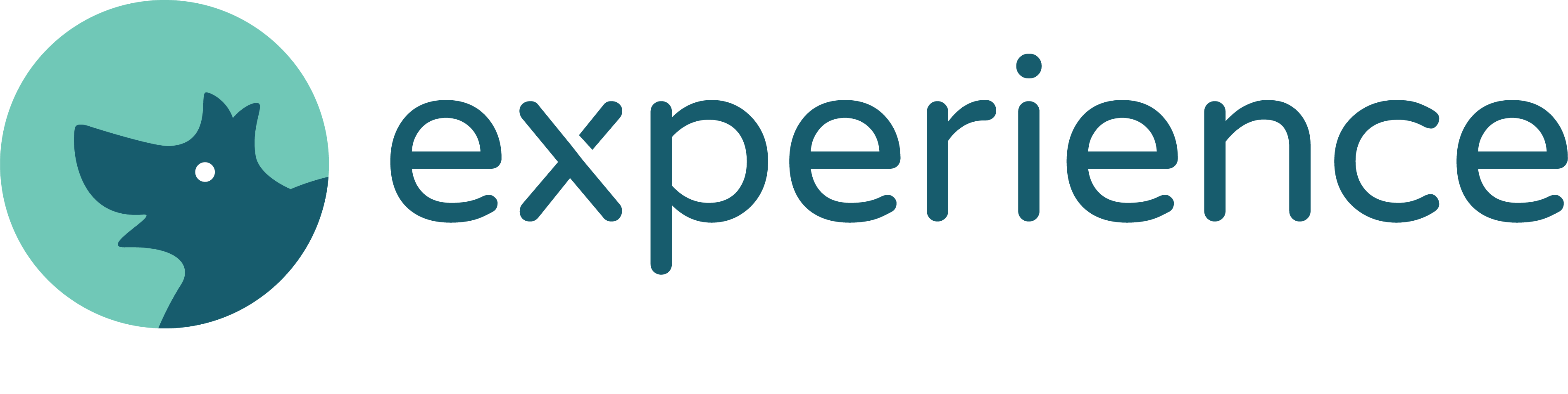 Experience LLC Company Logo