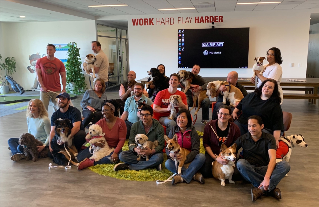 We love having dogs in the office!