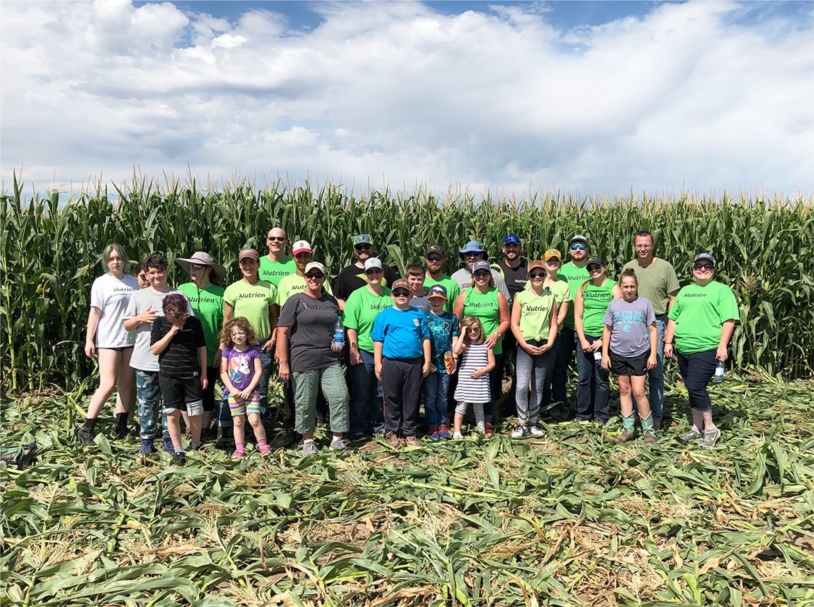 Volunteers from our Loveland office came together to pick sweet corn for charity