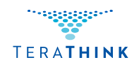 TeraThink Corporation logo