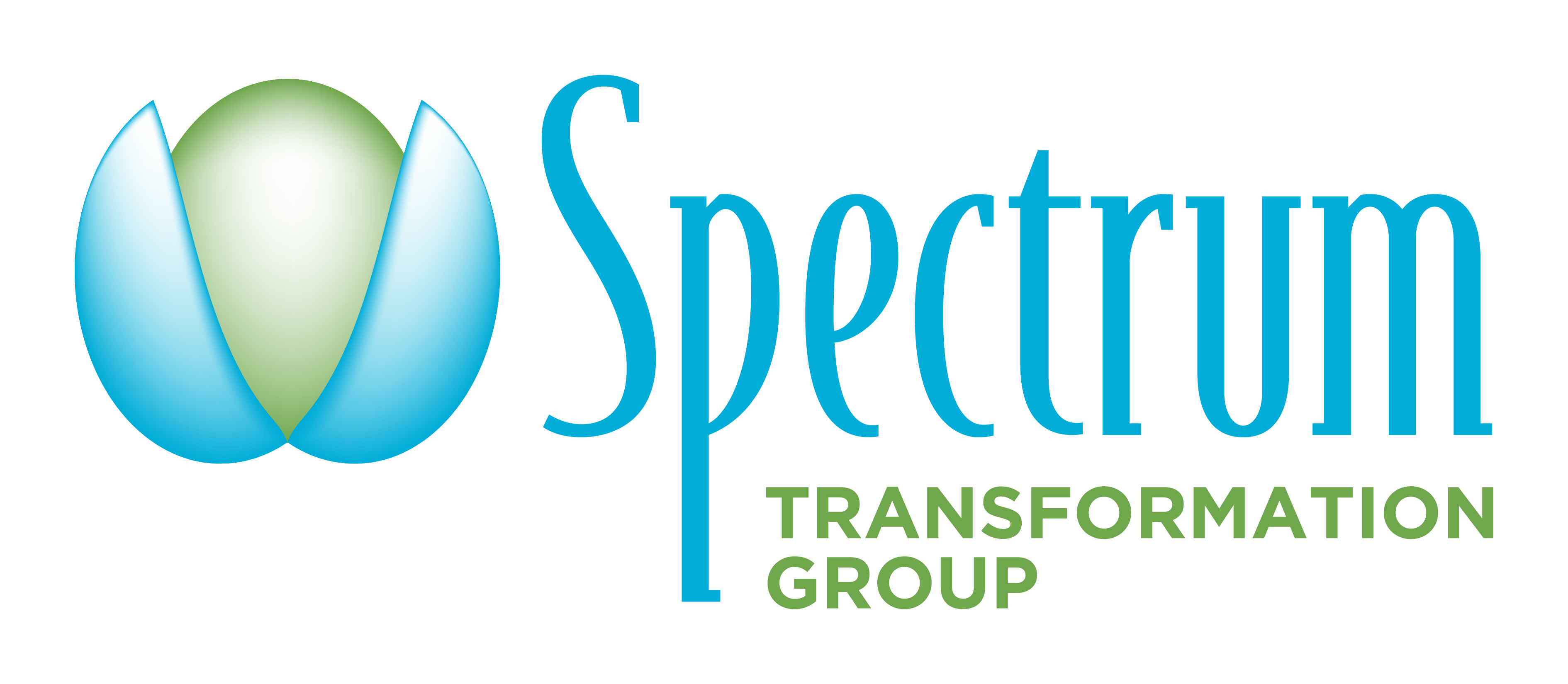 Spectrum Transformation Group logo