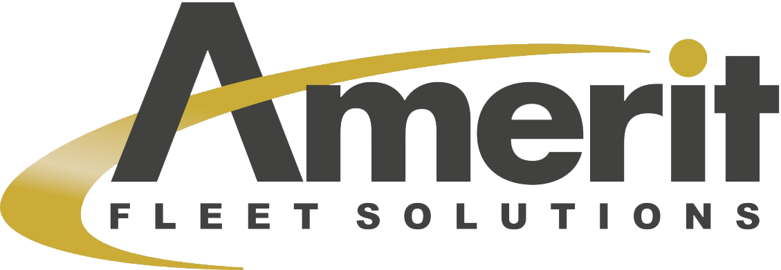 Amerit Fleet Solutions Company Logo