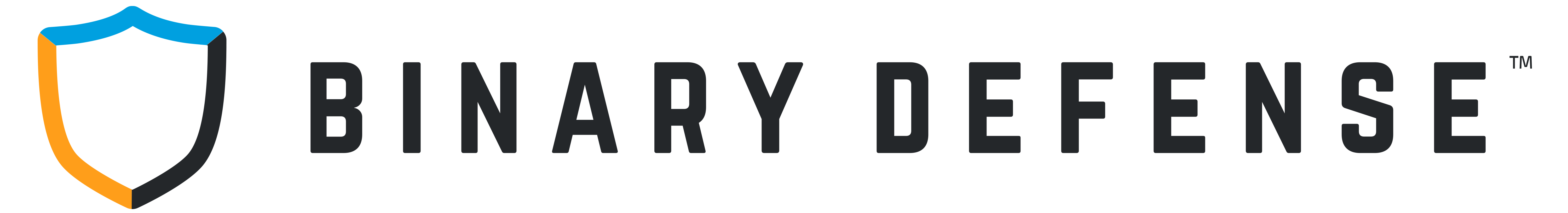 Binary Defense Company Logo