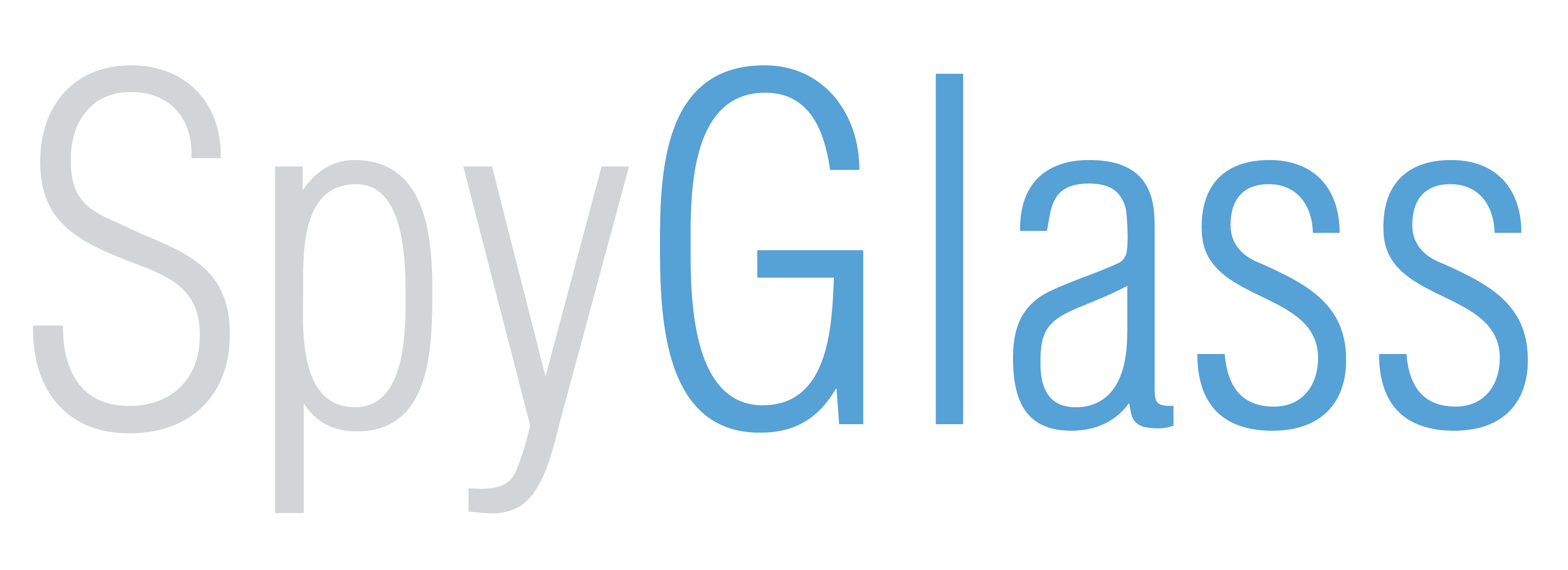 The SpyGlass Group, LLC logo