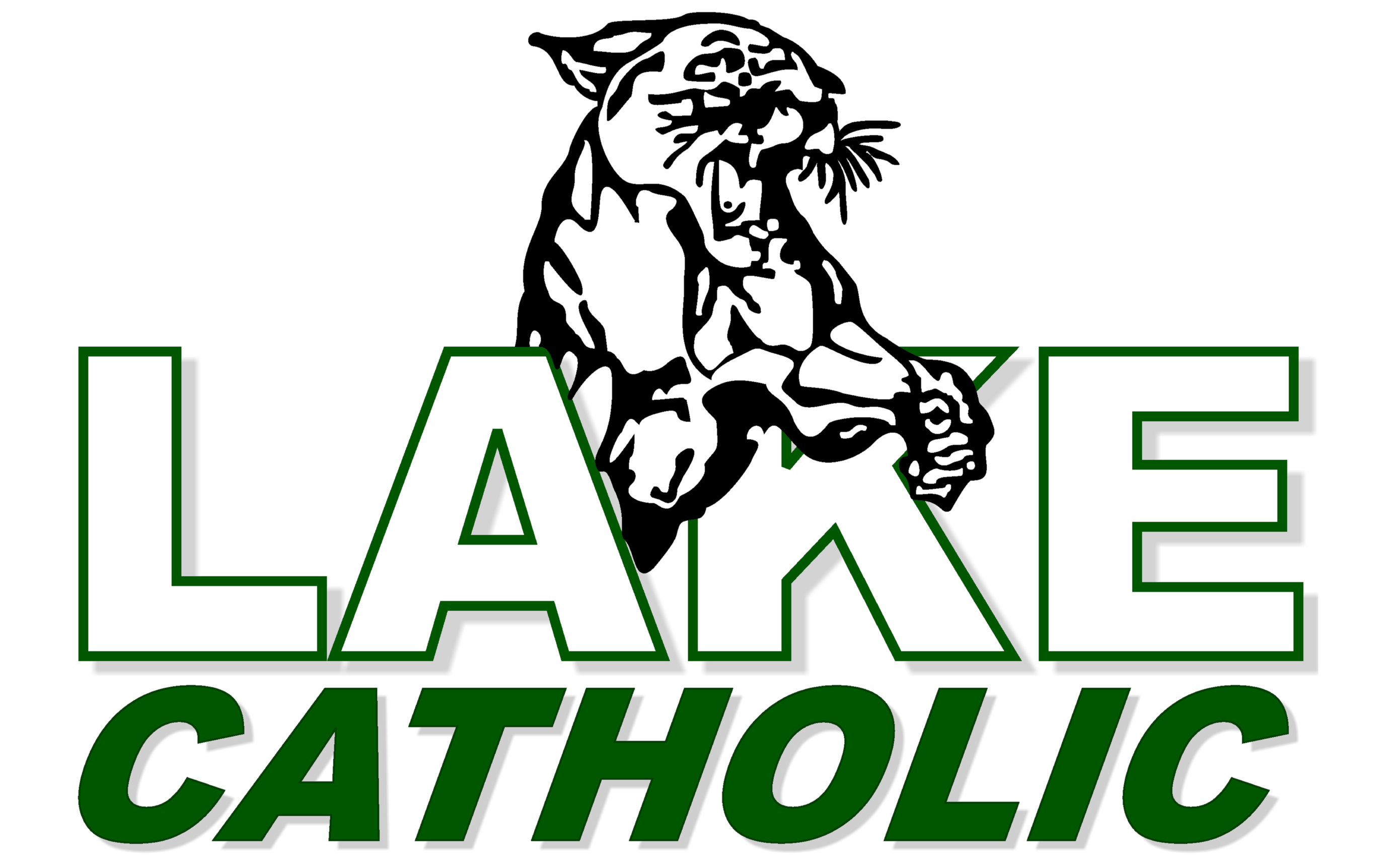 Lake Catholic High School Profile