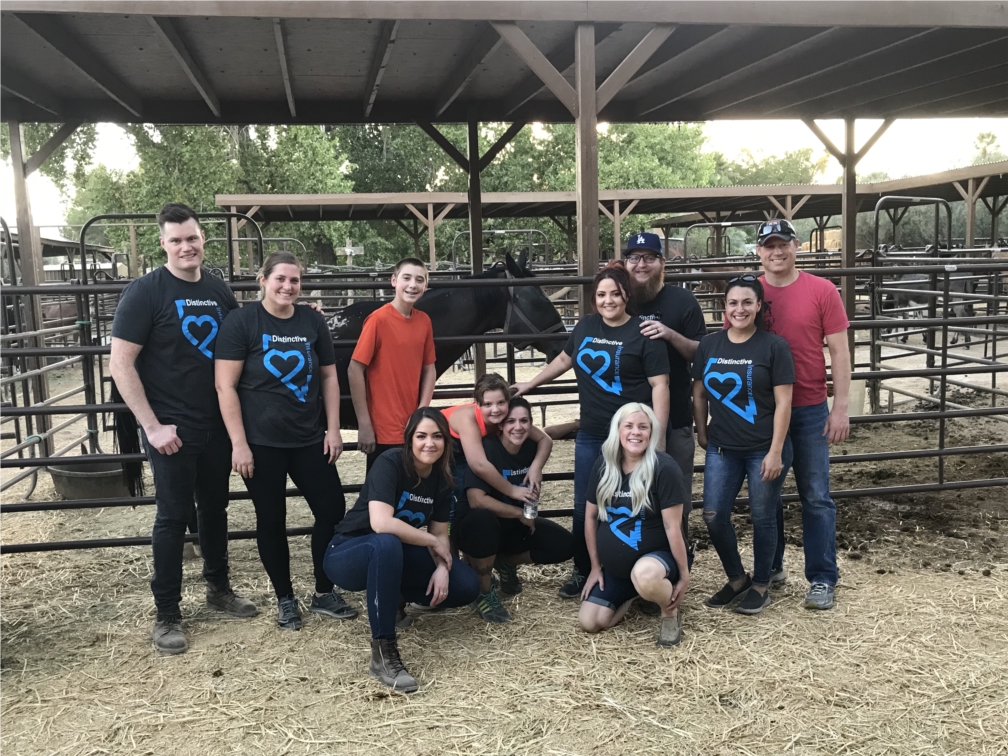 Volunteering at a local farm animal shelter.