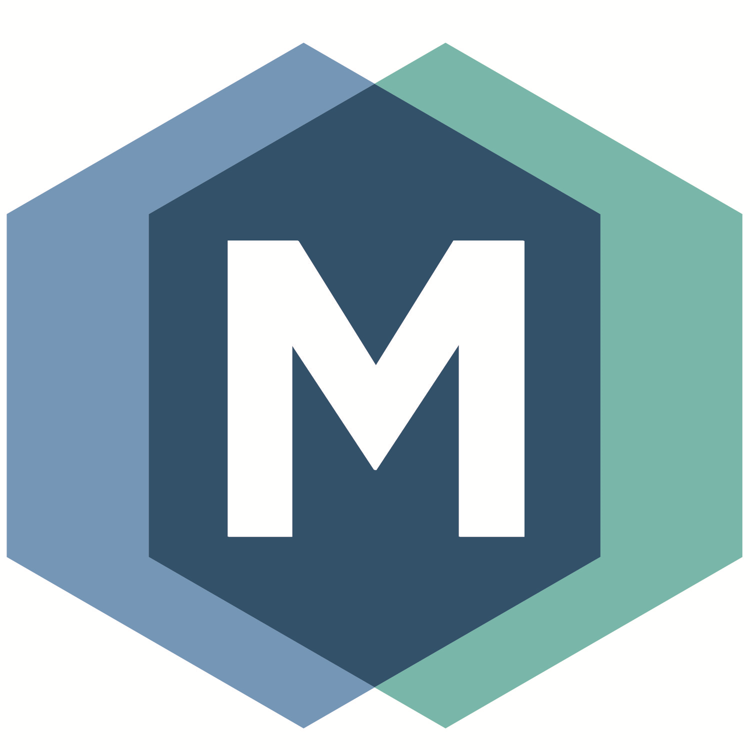 Medic Management Group logo