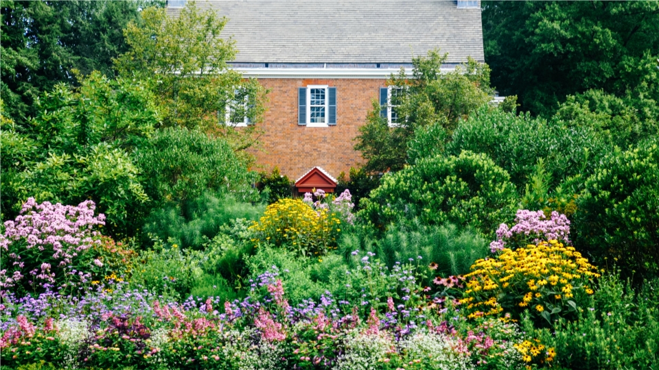 Garden view of Mt. Cuba Center