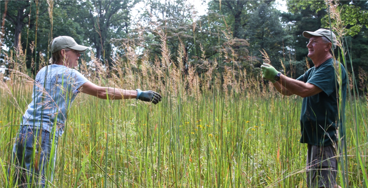 Mt. Cuba Center staff working in meadow. 