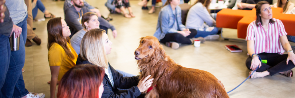 A weekly Friday Morning agency gathering, pups allowed.