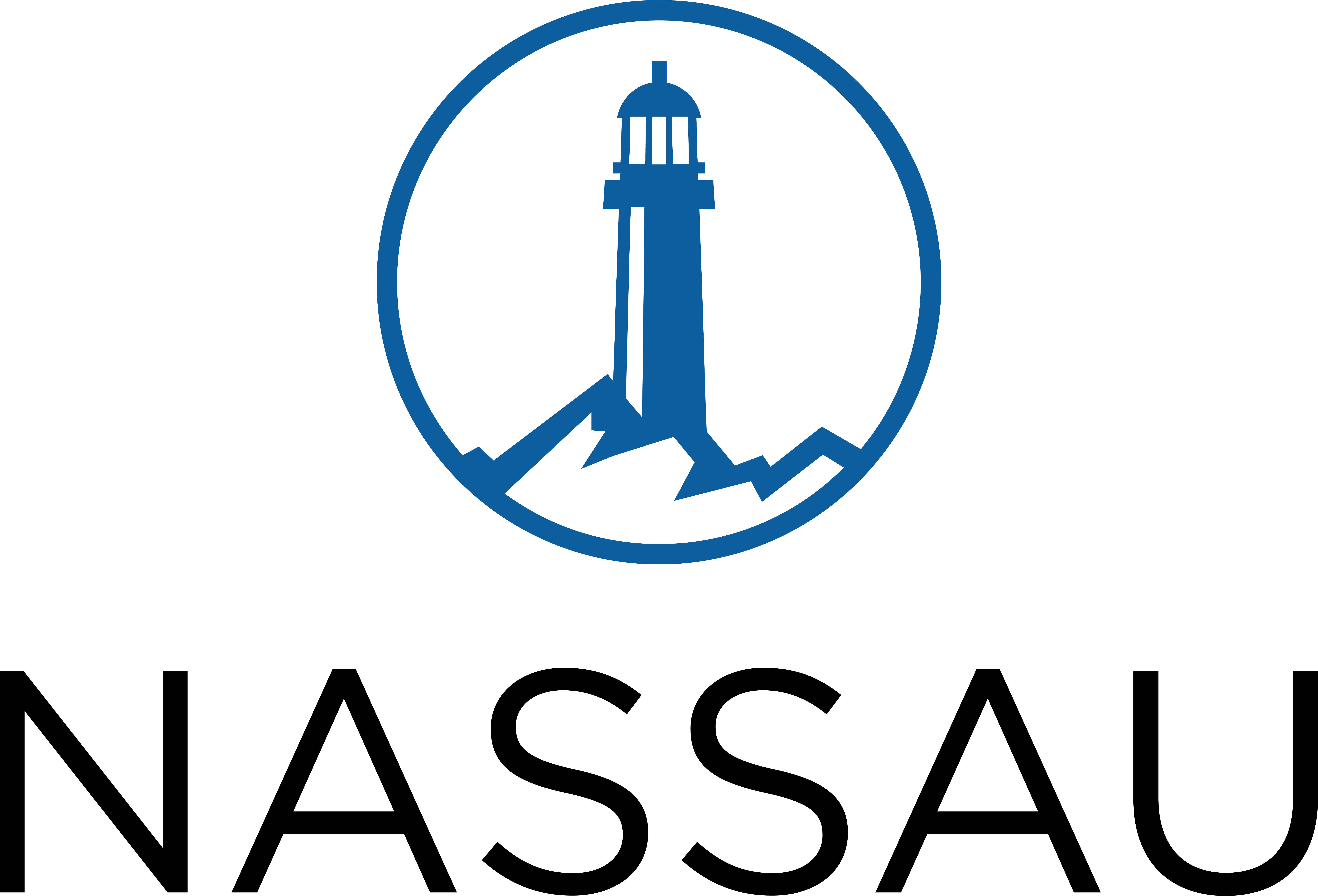 Nassau Financial Group logo