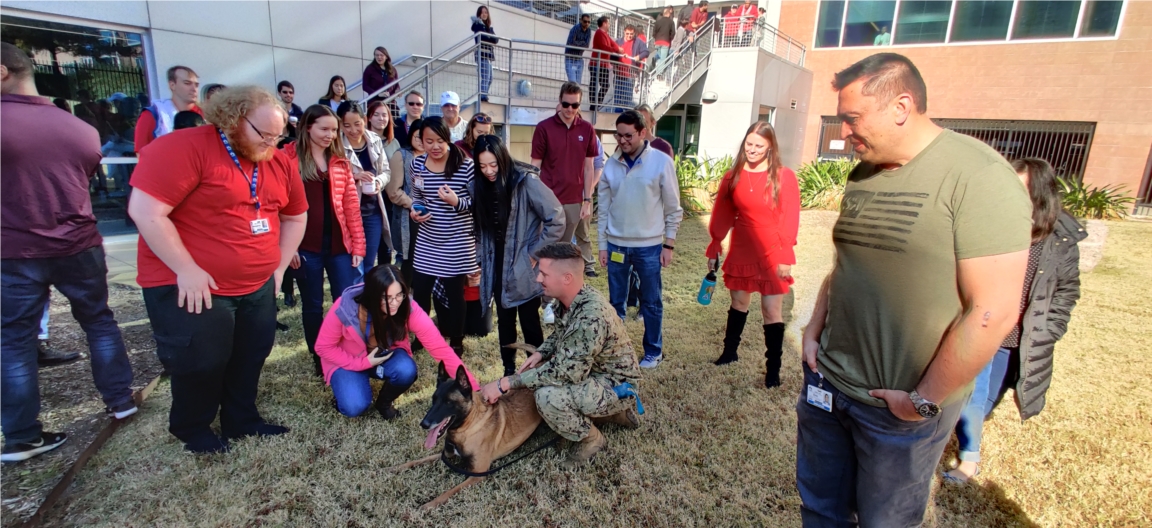 USAA employees enjoying a military working dog demonstration