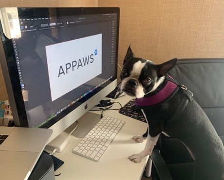 Applause team members have stayed connected while working remote through daily Spirit challenges like Bring Your Pets to Work day.