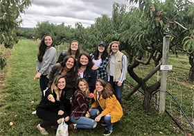 Beacon Hill Associates Boston going Apple Picking for an outing.