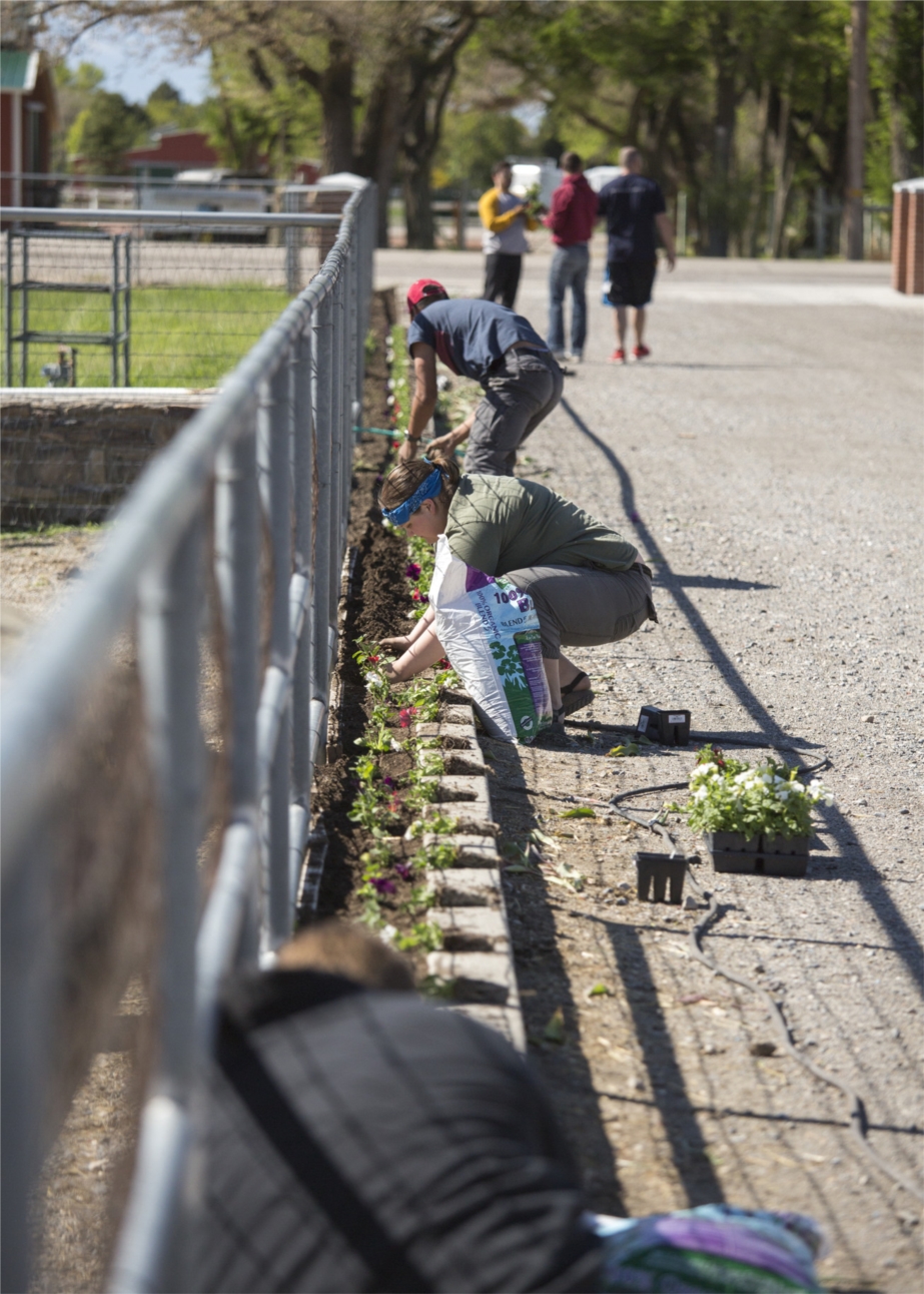 Xactware employees help clean up at Courage Reins, which offers equine assisted therapies in Highland. The cleanup was part of Xactware's Founders Week activities in May 2016.