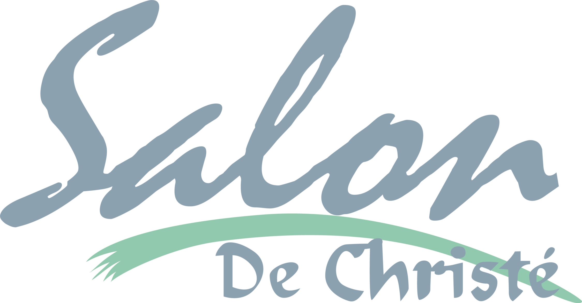Salon De Christé Company Logo
