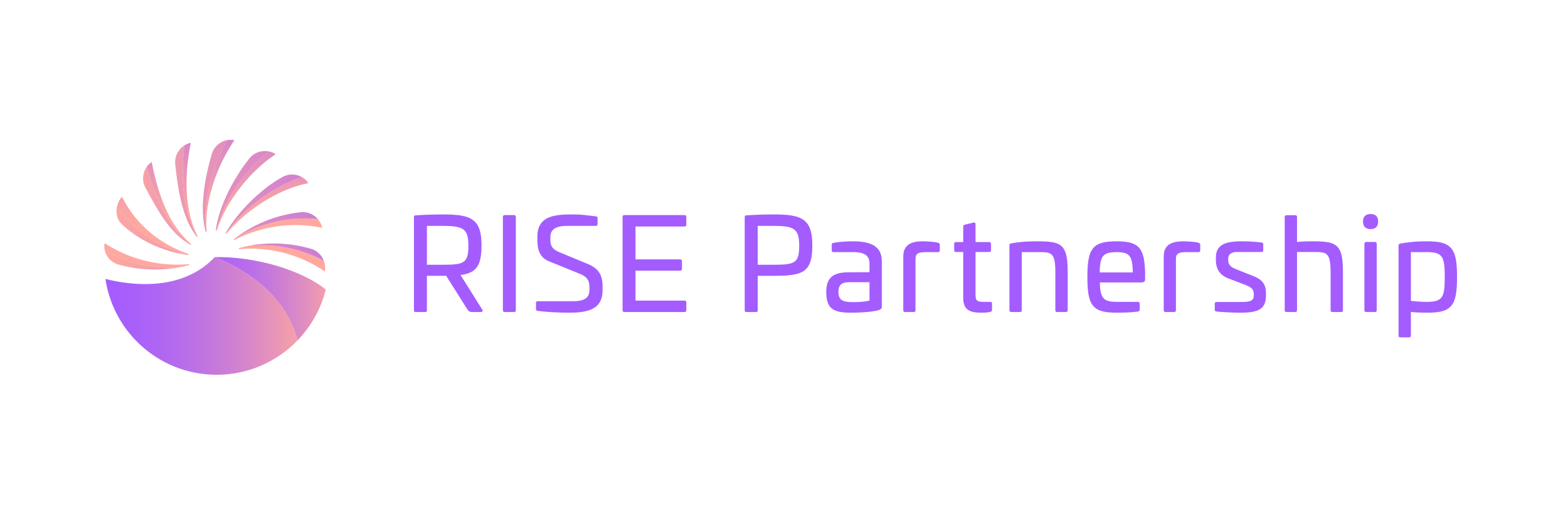 RISE Partnership Company Logo