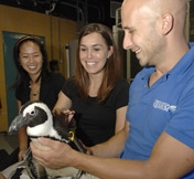 The Florida Aquarium's biologists allow you to come face to beak with our penguins