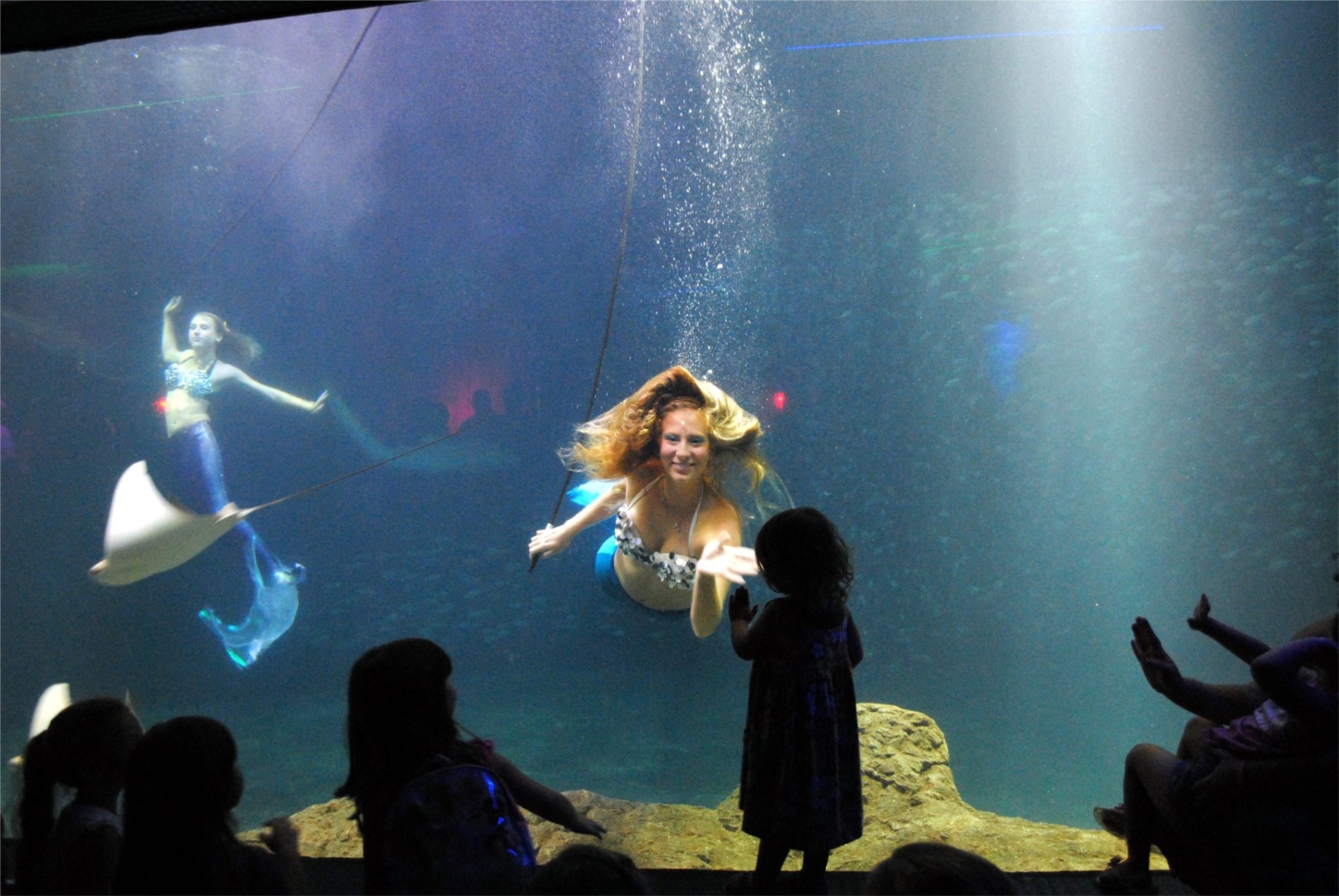 The Florida Aquarium's has their very own mermaids for special events