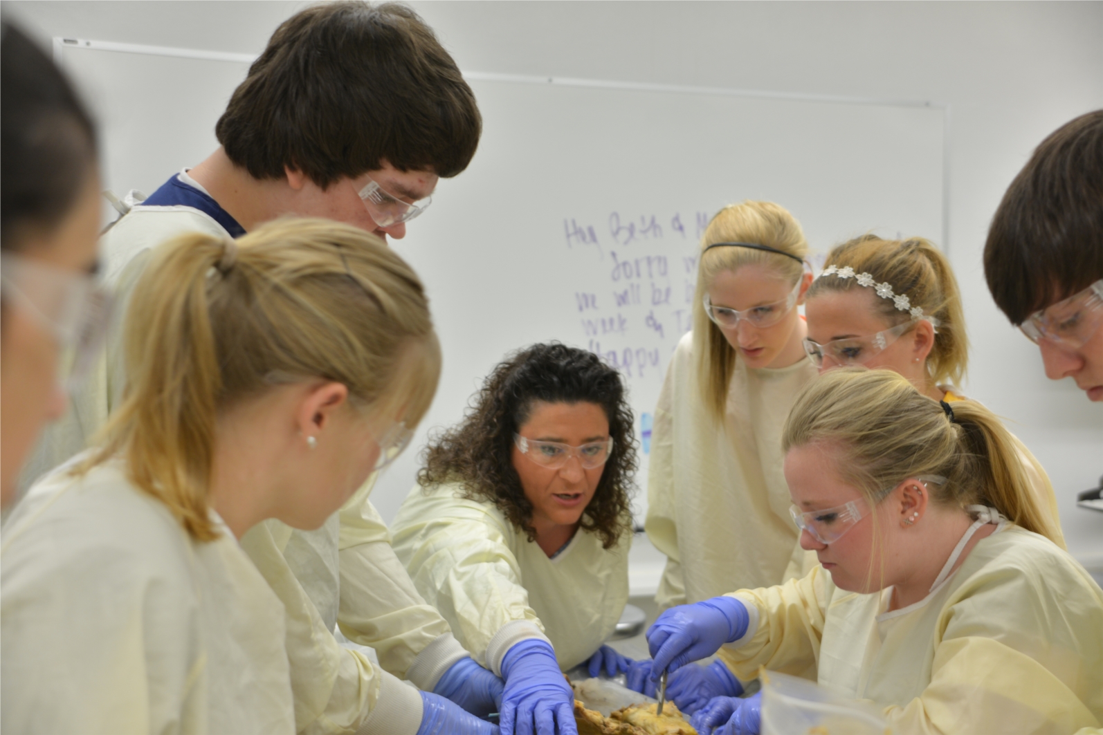 Whitmer teacher Bernadette Terry has formed a partnership with Dr. Baptista, Director of the University of Toledo Plastination Laboratory. Because of this partnership, Mrs. Terry and a small group of her students are invited to the UTMC Anatomy Institute for hands-on learning.
