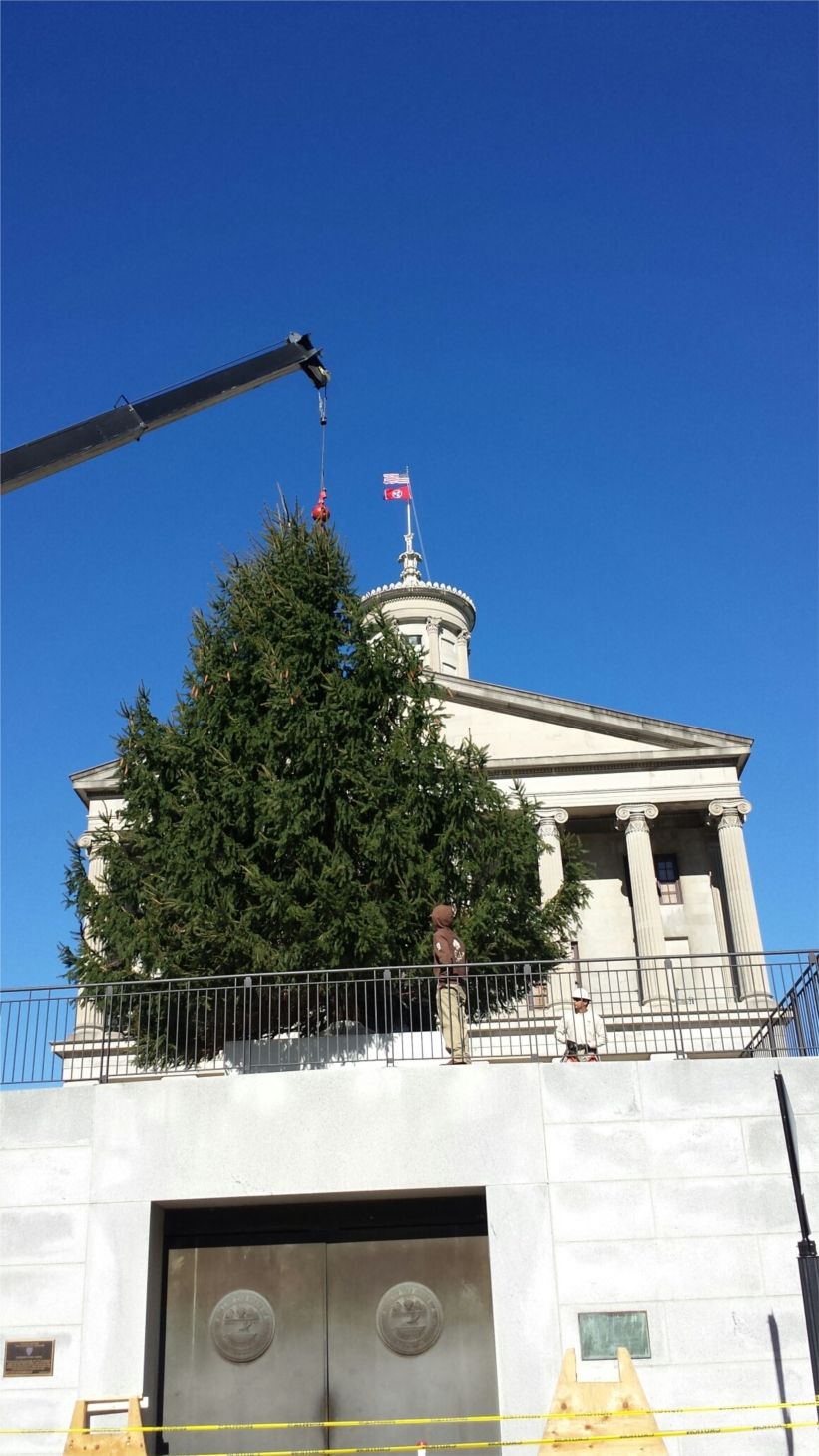 2015 TENNESSEE STATE CHRISTMAS TREE