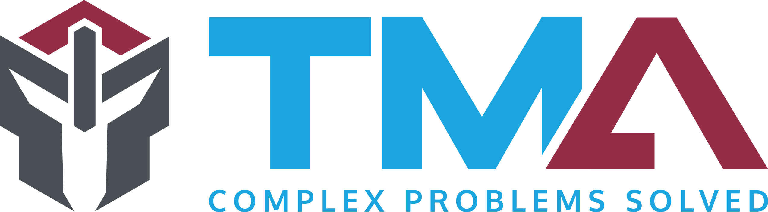 Technology Management Associates, Inc. logo