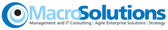 Macro Solutions Company Logo